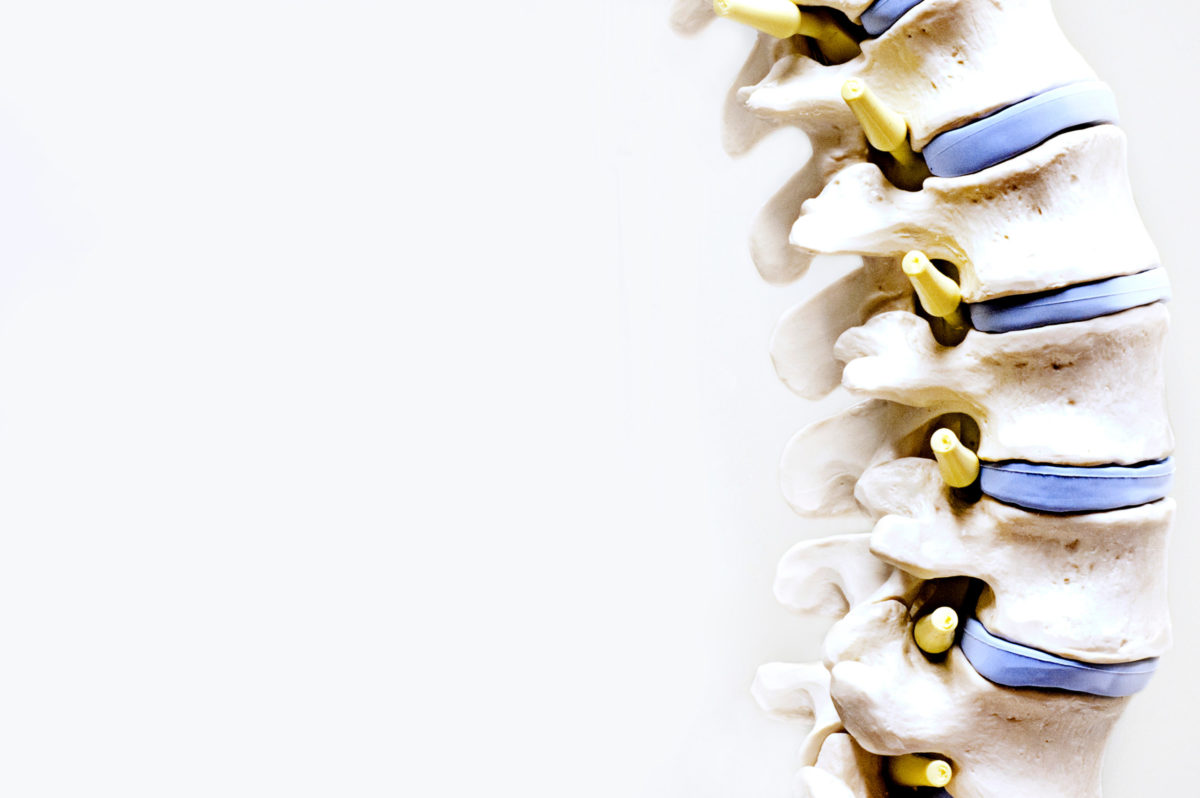 The Philosophy of Chiropractic Care